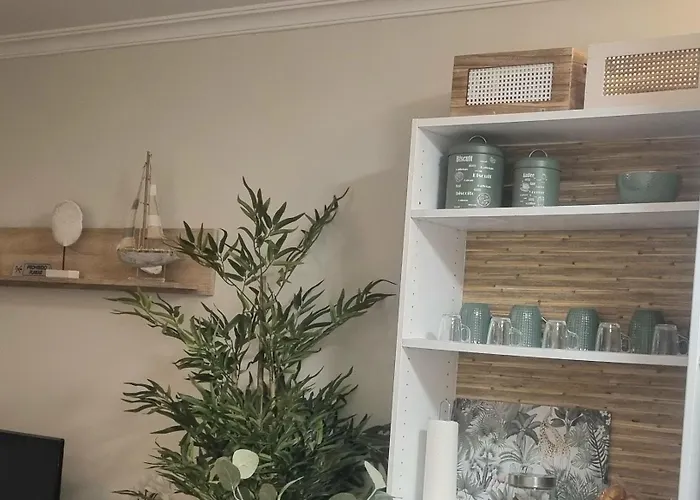 Bouzamar * Βίγκο